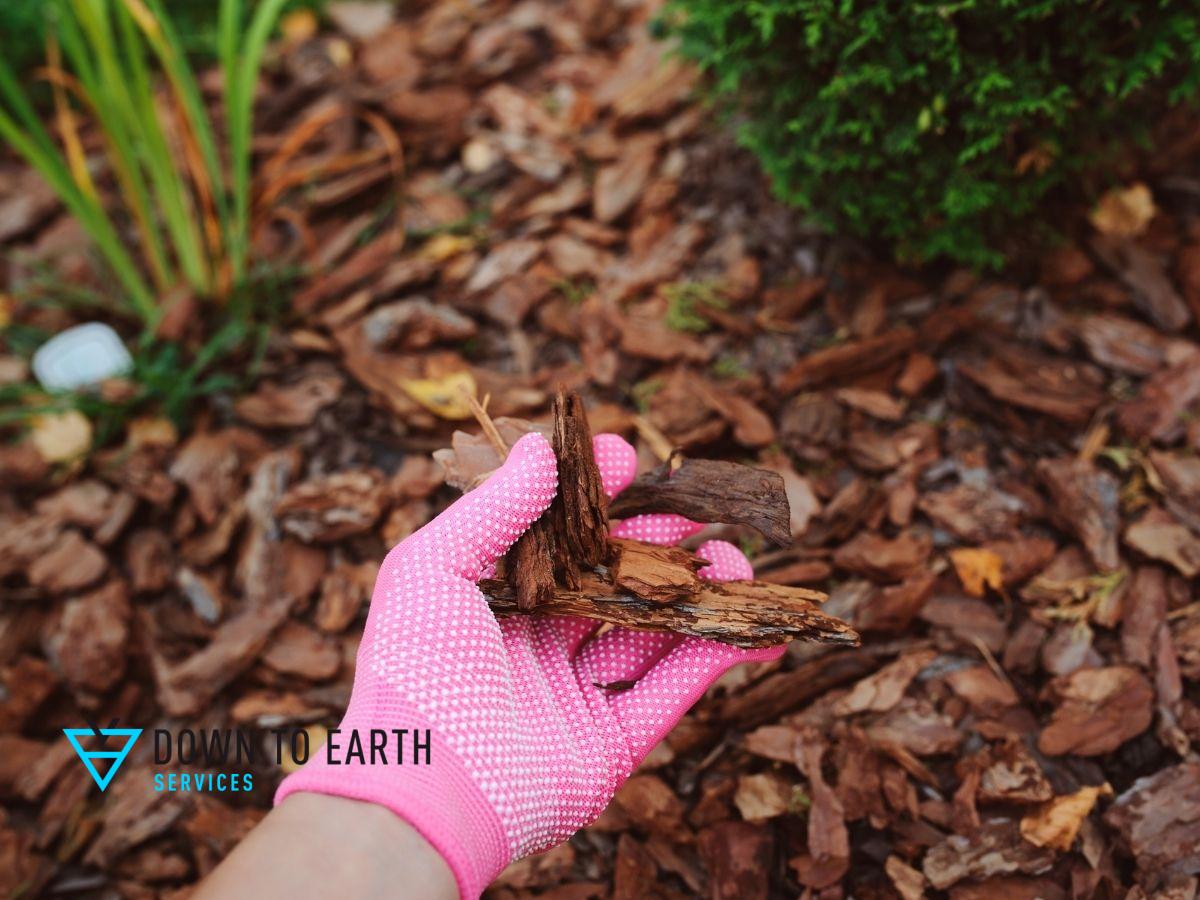 mulching your naurescape